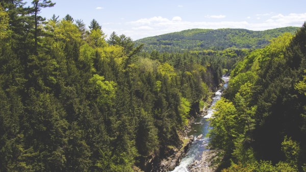 Trees Creek River Mountain Wallpaper