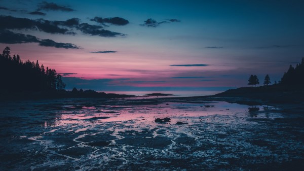 Trees Dusk Lake Wallpaper