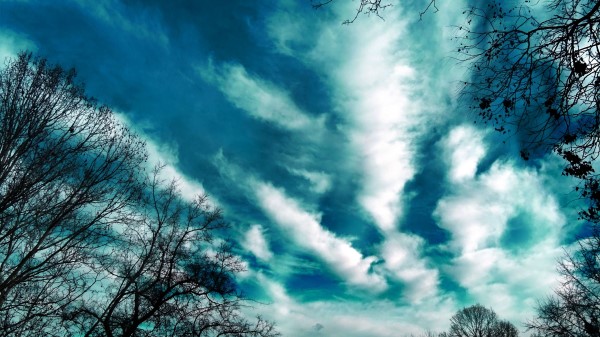 Trees Evening Sky Clouds Wallpaper