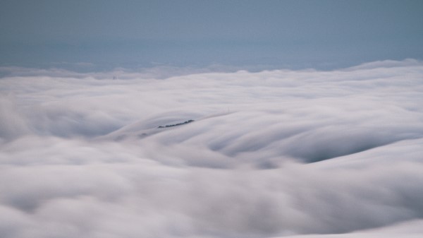 Trees Fog Clouds Image Wallpaper