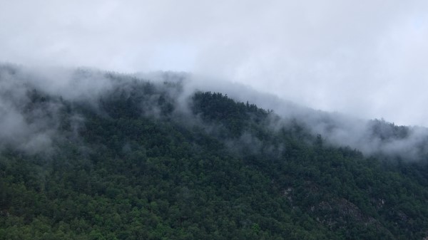 Trees Fog Mountains Wallpaper