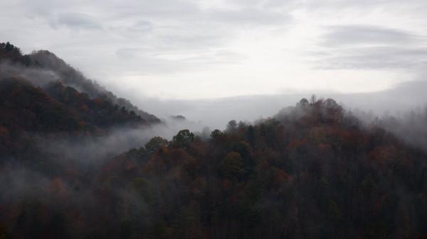 Trees Fog Mountains Sky Wallpaper