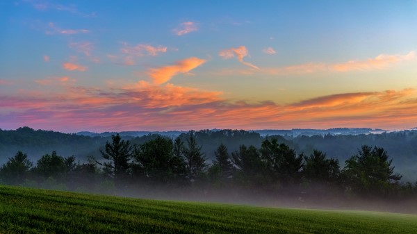 Trees Fog Sunset Wallpaper
