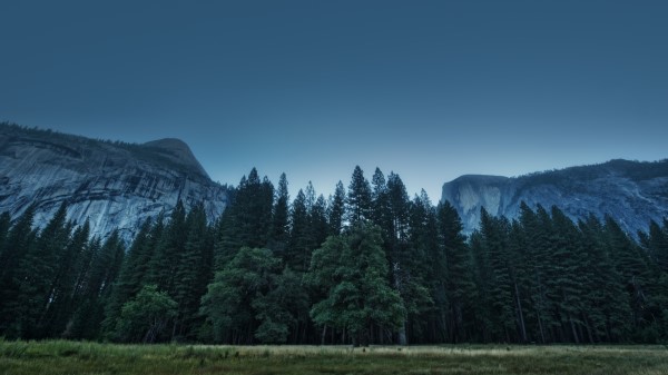 Trees Forest Mountains Usa California Yosemite Valley Wallpaper