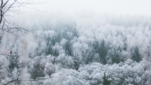 Trees Hoarfrost Peaks Wallpaper
