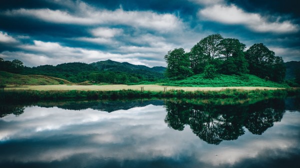 Trees Lake Reflection F Wallpaper