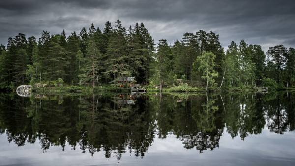 Trees Lake Reflection Wallpaper