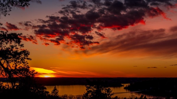 Trees Lake Sunset Wallpaper