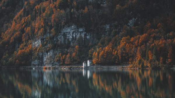 Trees Mountain Lake Shore Wallpaper