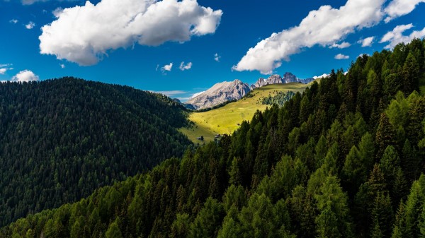 Trees Mountains Clouds Summer Wallpaper