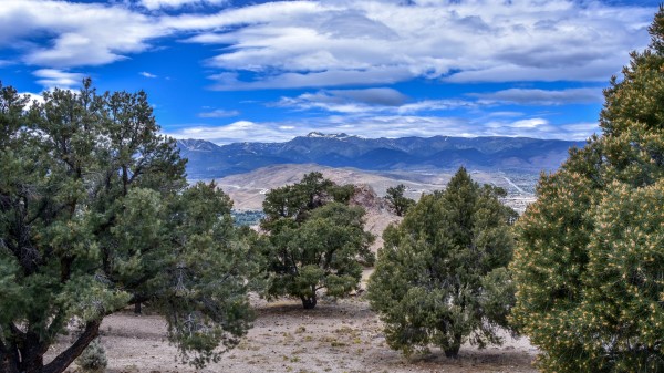 Trees Mountains Distance Wallpaper