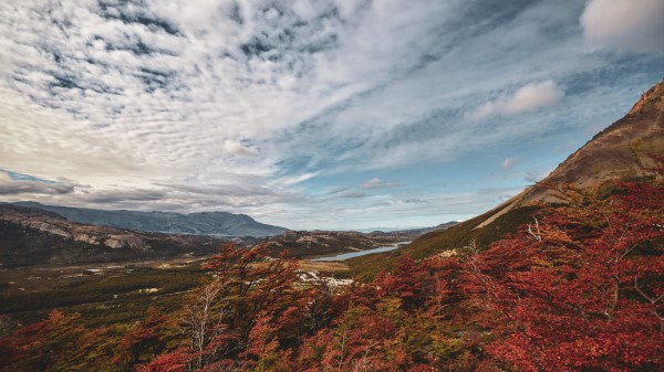 Trees Mountains Landscape Wallpaper