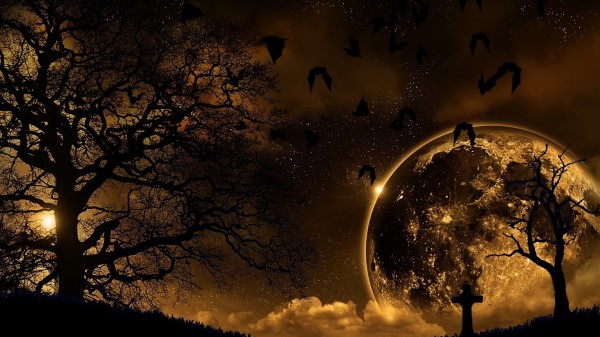 Trees Nature Night Planet Birds Landscape Wallpaper