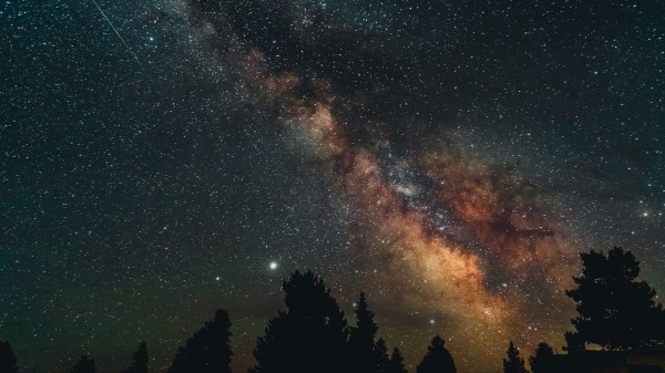 Trees Nebula Starry Sky Wallpaper