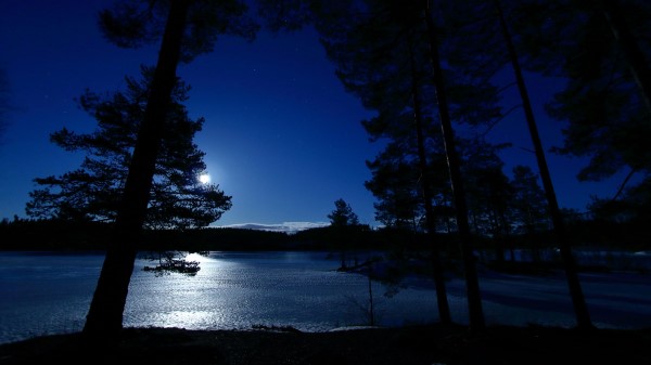 Trees Night Lake Wallpaper
