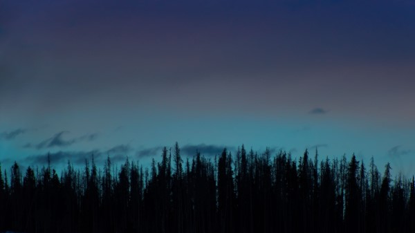Trees Night Sky Wallpaper