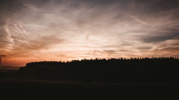 Trees Outlines Sunset Wallpaper