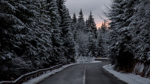 Trees Road Winter Snow Wallpaper
