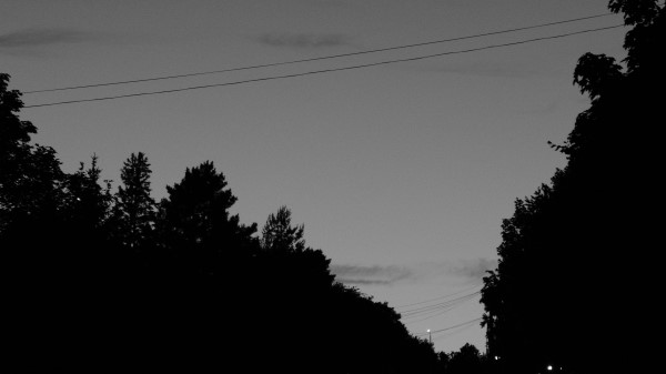 Trees Silhouette Bw Wallpaper