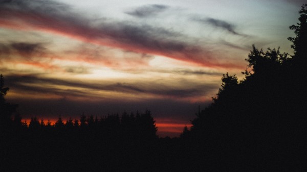Trees Silhouette Sunset Wallpaper