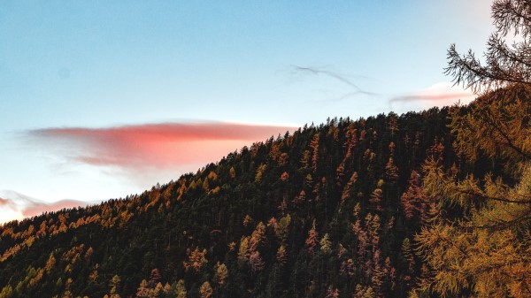 Trees Sky Autumn Hill Wallpaper