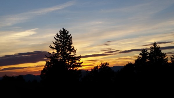Trees Sky Sunrise Clouds Wallpaper