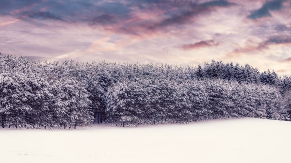 Trees Snow Snowy Wallpaper