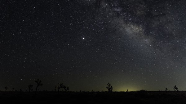 Trees Starry Sky Stars Image Wallpaper