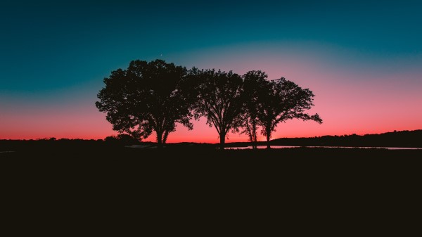 Trees Sunset Horizon Wallpaper