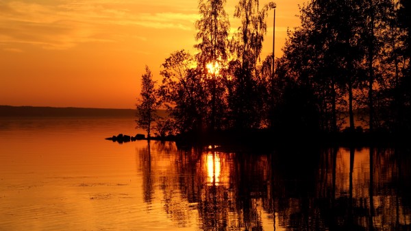 Trees Sunset Rays Image Wallpaper
