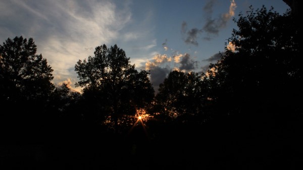 Trees Sunset Rays Wallpaper