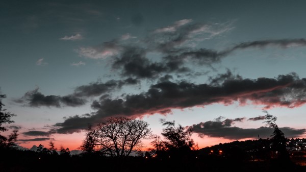 Trees Sunset Sky F Wallpaper
