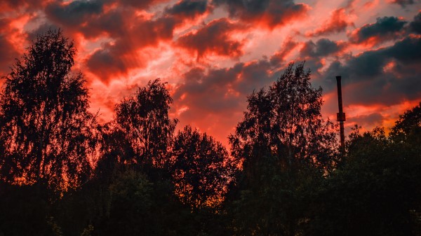 Trees Sunset Sky G Wallpaper
