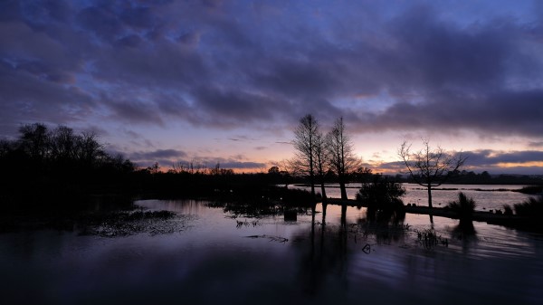 Trees Sunset Sky H Wallpaper