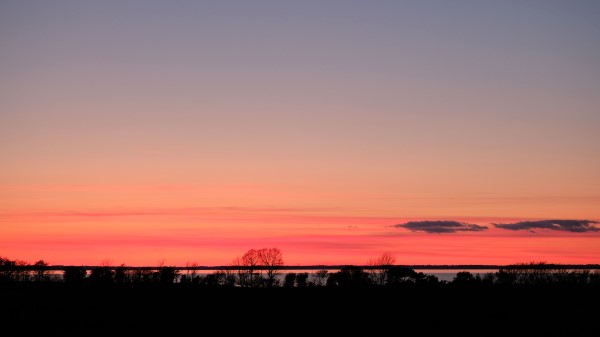 Trees Twilight Horizon Wallpaper