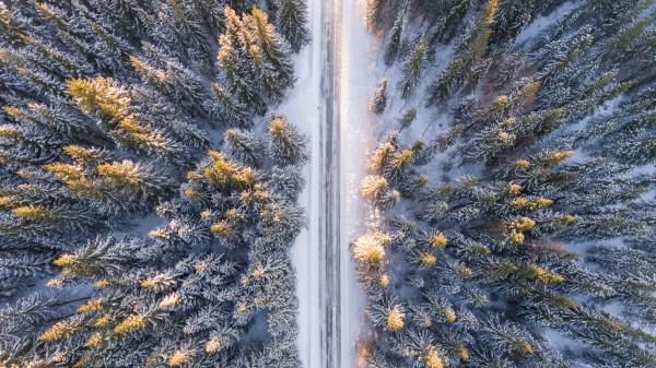 Trees View From Above Road Winter wallpaper