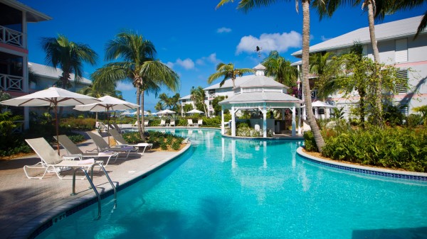 Tropical Resort Palm Comfort wallpaper
