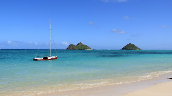 Tropics Beach Boa wallpaper