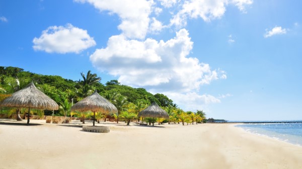 Tropics Beach Palm Trees Sand wallpaper