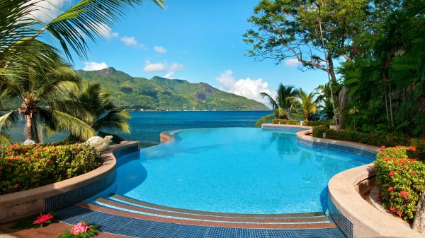 Tropics Sea Palm Trees wallpaper