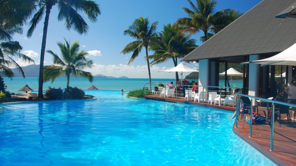 Tropics Sea Palm Trees Swimming Pool wallpaper