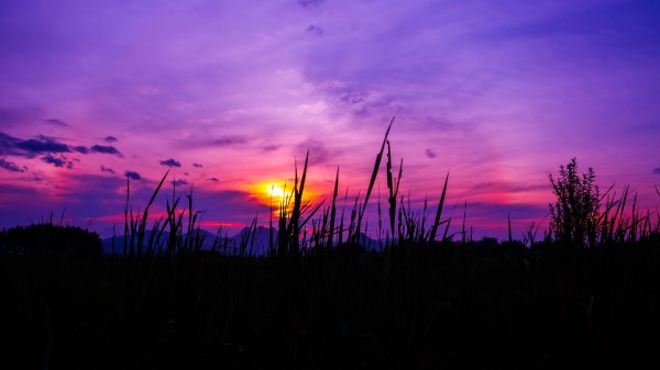 Twilight Grass Sky Wallpaper
