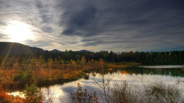 Utumn Lake Forest Nature wallpaper
