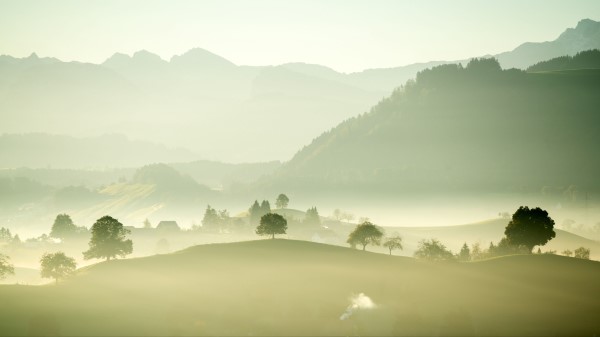 Valley Fog Trees wallpaper