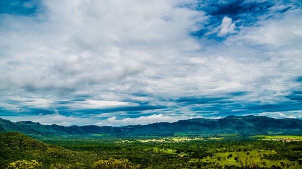Valley Grass Hills wallpaper