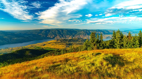 Valley Grass River wallpaper