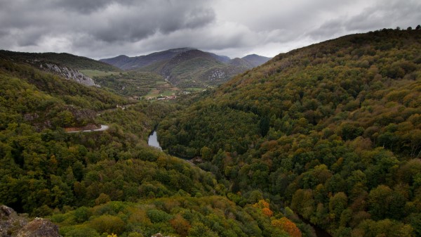 Valley Mountains Trees wallpaper