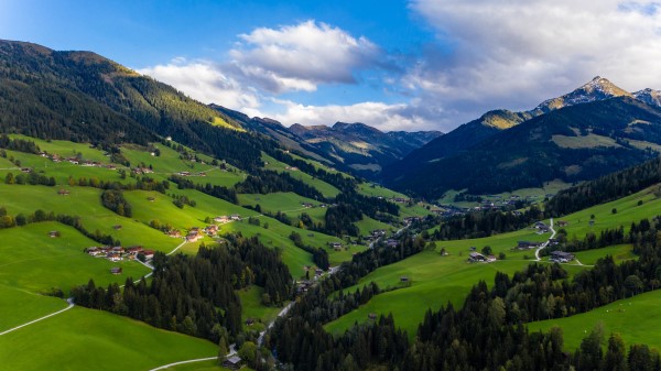 Valley Trees Mountains wallpaper