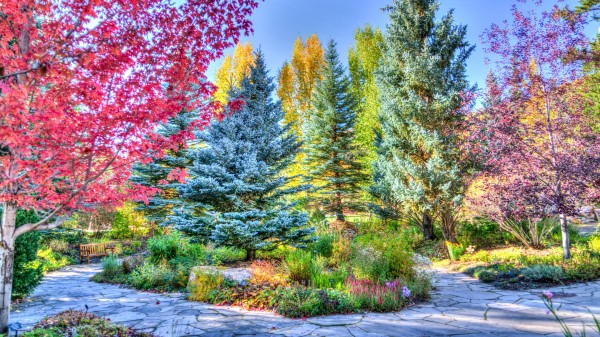 Vejle Colorado Park Hdr wallpaper