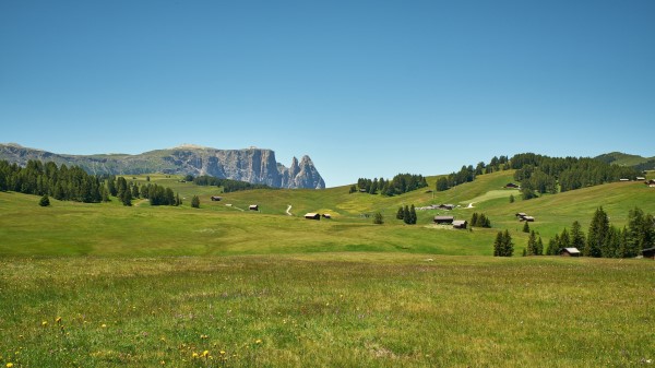 Village Field Grass wallpaper